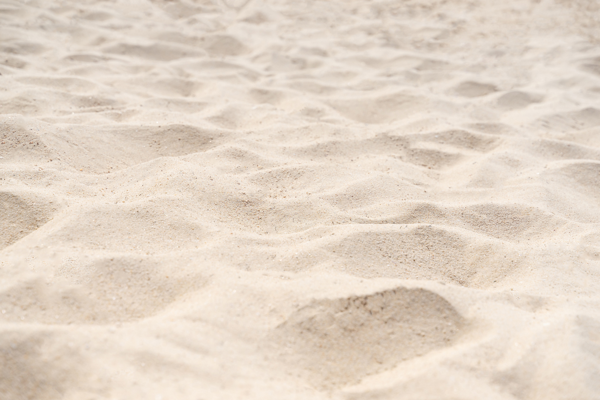 Dune in Sand Surface